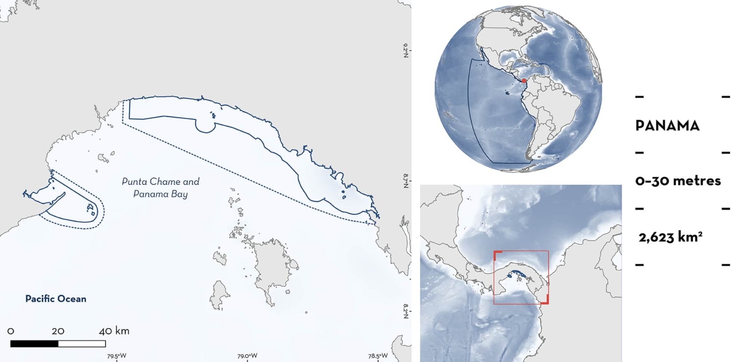 Punta Chame And Panama Bay ISRA Important Shark Ray Areas