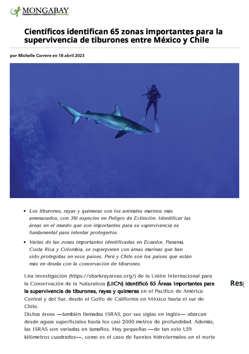 Sharks & Rays by Caranx Informatica Ltda.