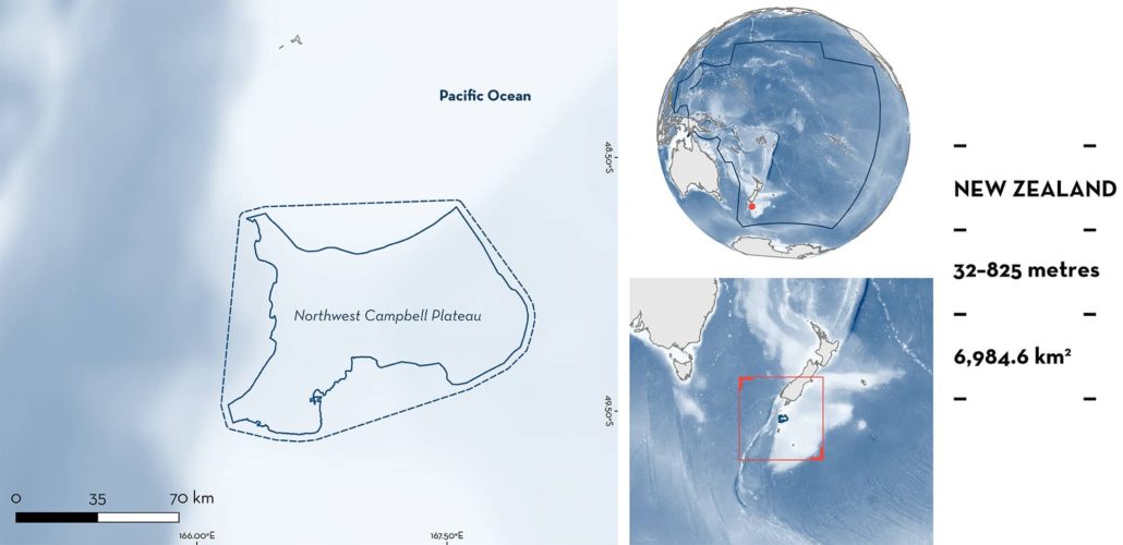 Northwest Campbell Plateau ISRA - Important Shark Ray Areas