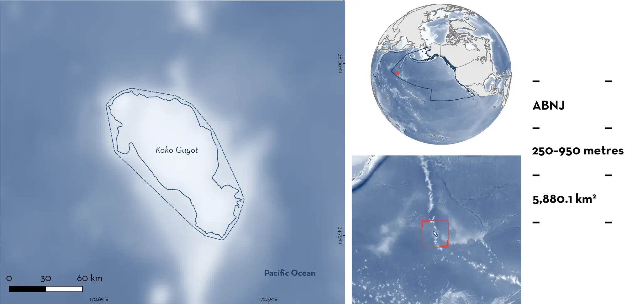 Koko-Guyot