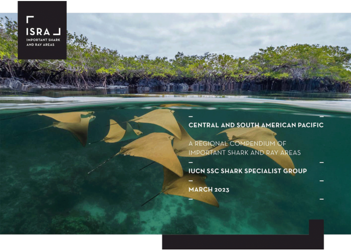 Central and South American Pacific: A regional compendium of Important Shark and Ray Areas