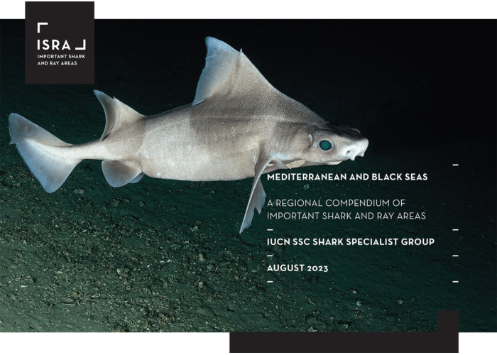 Mediterranean and Black Seas: A regional compendium of Important Shark and Ray Areas