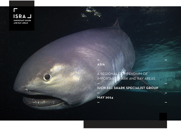 Asia: A regional compendium of Important Shark and Ray Areas