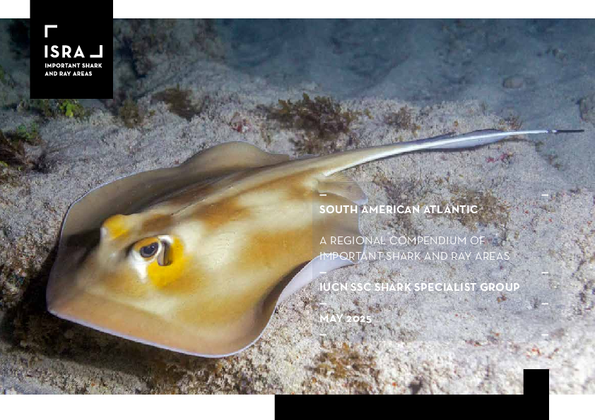 South American Atlantic: A regional compendium of Important Shark and Ray Areas